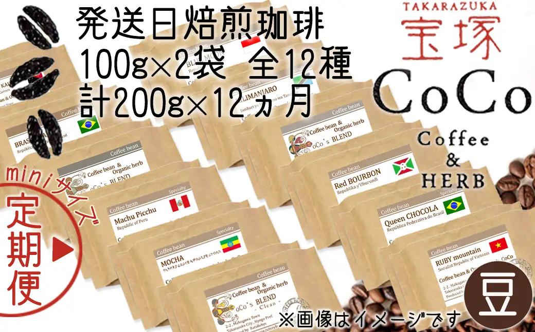 【宝塚】12ヶ月mini(発送日自家焙煎珈琲豆・全12種 計2.4kg)【豆】