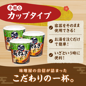 （WT64）神州一味噌 おいしいね！！ 長ねぎ 60食(1食×6個×10箱） 味噌汁 インスタント味噌汁 即席味噌汁 みそ汁 カップ味噌汁