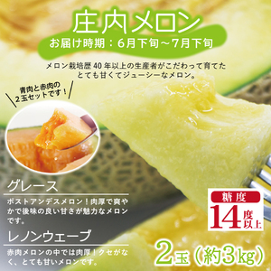 SE0208　【3回定期便】農家直送 旬のフルーツ定期便2024 (いちご、庄内メロン、いちじく)