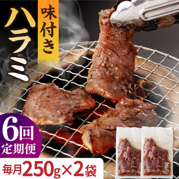 【ふるさと納税】【6回定期便】【塩だれ】九州産和牛 ハラミ 毎月250g×2袋（計3kg） 長与町/岩永ホルモン [EAX160] 定期便 ていきびん ハラミ はらみ 国産 肉 牛 和牛 牛肉 牛ハラミ 小分け 味付き 焼肉 BBQ 冷凍 九州 味付け 塩だれ 簡単調理 送料無料 長崎