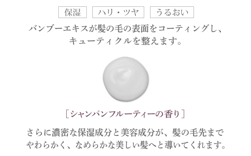 アリスベル トリートメントボーテレパラトリス 380g シャンパンフルーティーの香り