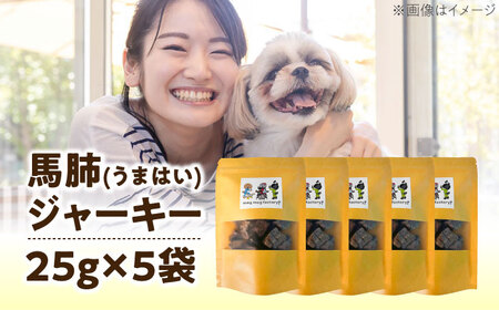 わんこのおやつ（犬）無添加手づくり 馬肺ジャーキー5袋 糸島市 / mogmog factory[AXO004]