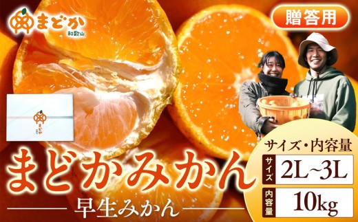 
                  ［先行予約］［贈答用］秋採れみかん（早生みかん）2L〜3Lサイズ混合 10kg＋500g（傷み補償分）［2025年11月上旬より発送］
                