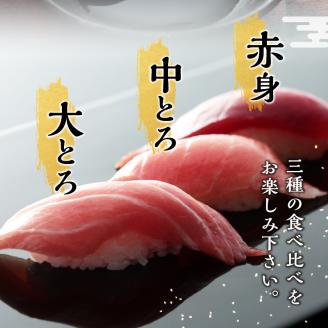 b300-016　定期便 天然本まぐろ 6回隔月でお届け