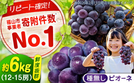 【期間限定/8月下旬〜9月上旬頃発送】 沼隈ぶどう「ピオーネ」 約2kg×3 12から15房（種なし） [BAEV007] ぶどう
