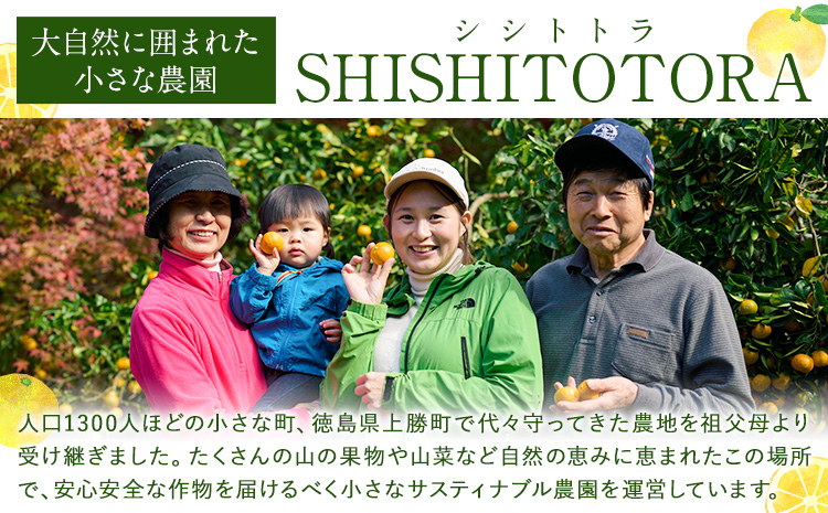 ＜ 予約受付開始 ＞ 訳あり 完熟柚香 ゆこう 約3kg シシトトラ《11月中旬-12月下旬頃出荷》 │ 柑橘 家庭用 柑橘 訳あり 柑橘 徳島県 柑橘 ご当地食材 レア 幻の果実 ぽん酢 加工用 柑