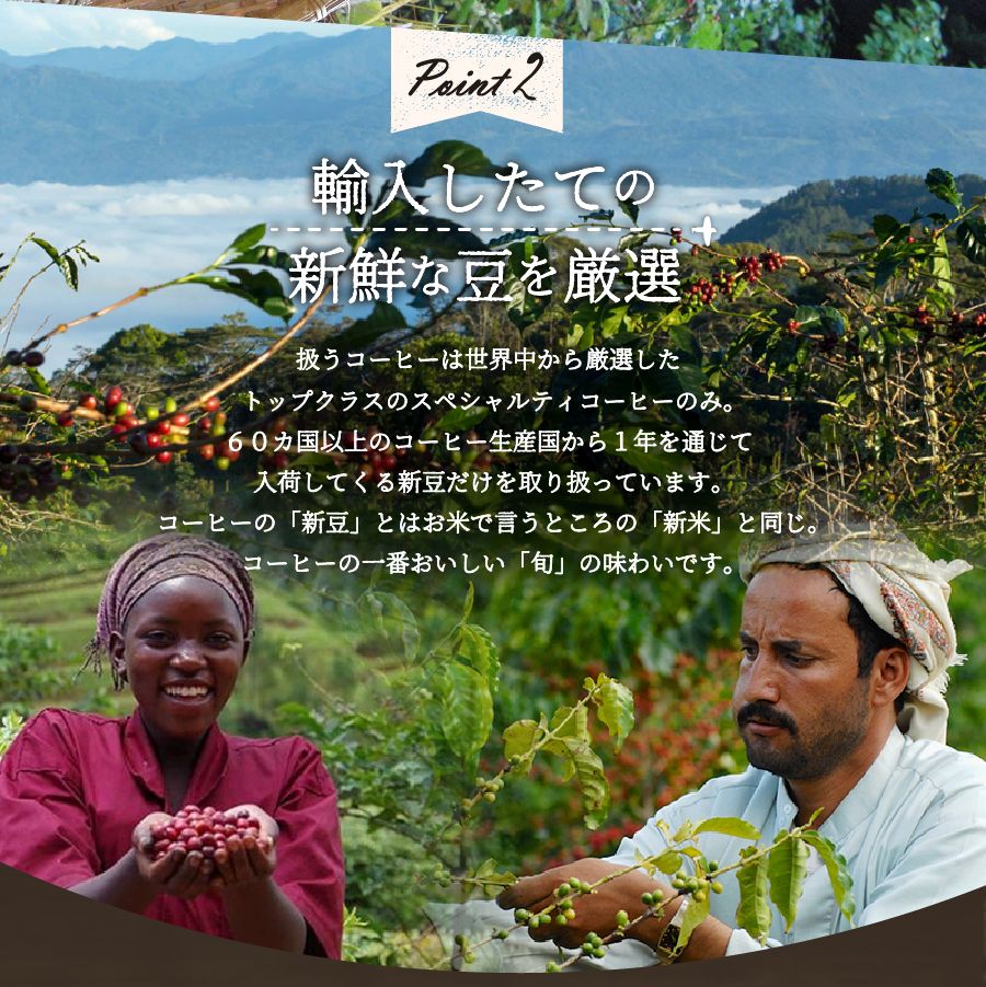 【訳あり】【定期便】コーヒー 世界の高級豆 希少豆　6ヶ月コース(豆)