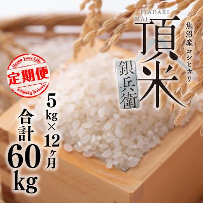ふるさと納税 十日町市 【毎月定期便】頂米銀兵衛 魚沼産コシヒカリ(精米)5kg 全12回