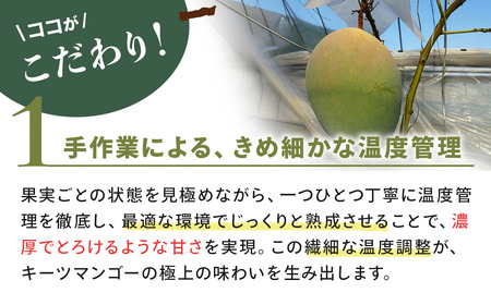 幻の 大きな緑色のマンゴー（キーツ）1個 希少 マンゴー