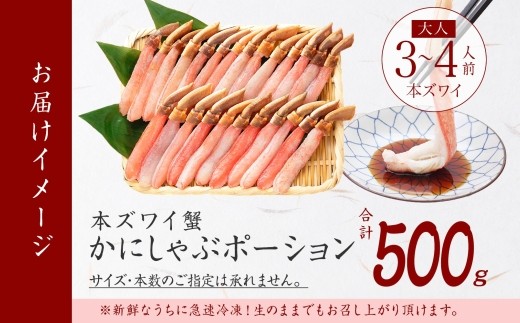 初めてでも安心！ガイド付き！