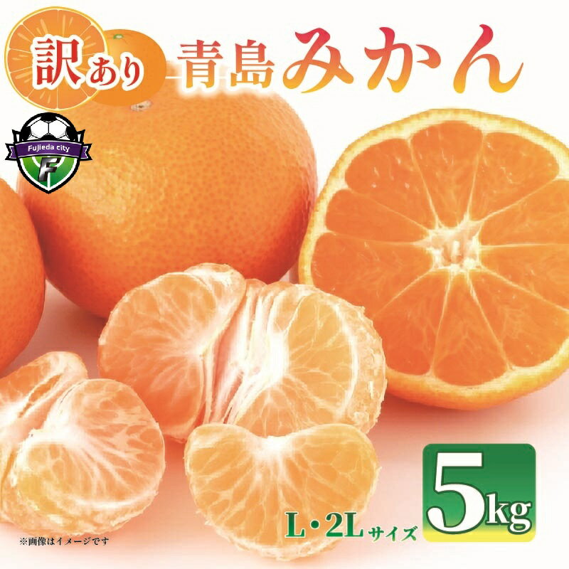 【ふるさと納税】 【先行予約】2027年1月上旬より発送 訳あり みかん 5kg （L～2Lサイズ） 青島 ミカン 果物 国産 フルーツ 柑橘 静岡県産 マルチ栽培 蜜柑 大小 ミックス 不揃い ビタミン 美味しい mikan mandarin orange 国産 家庭用 お取り寄せ 静岡県 藤枝市