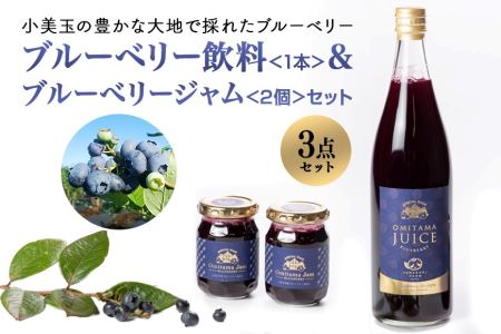 果汁50％ブルーベリー飲料1本＆ブルーべリ－ジャム2個セット ブルーベリー ジュース ジャム ブルーベリージャム ブルーベリージュース フルーツ ビタミンE ドリンク 栄養 目にいい 美容 ギフト 贈り物 茨城県産 セット 詰め合わせ お祝い 美味しい 9-K