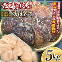 【ふるさと納税】 【動画有り】市場直送 旬の活ほたて 5kg（2.5kg×2箱） 【あおもり食品】 活ホタテ ホタテ ほたて 帆立 生ほたて 生ホタテ 刺身 殻付き 貝付き 貝 貝柱 魚介 海鮮 新鮮 青森 青森県 東北 陸奥湾 むつ湾 BBQ バーベキュー キャンプ F21J-114