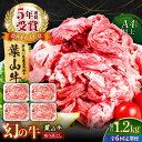 【ふるさと納税】【全6回定期便】葉山牛 切り落とし300g×4パック 計1.2kg 国産牛 牛肉 切り落とし 薄切り 高級和牛 冷凍 黒毛和牛 国産 和牛 赤身 希少品種 小分け 横須賀 すき焼き すきやき ぎゅうにく きりおとし 大容量 神奈川銘品 お取り寄せ【株式会社羽根】[AKAG034]