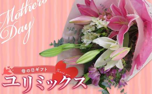 
                  母の日ギフト用ユリミックス　5本花束（合計15～20輪） 植物 フラワー 花 F23R-788
                