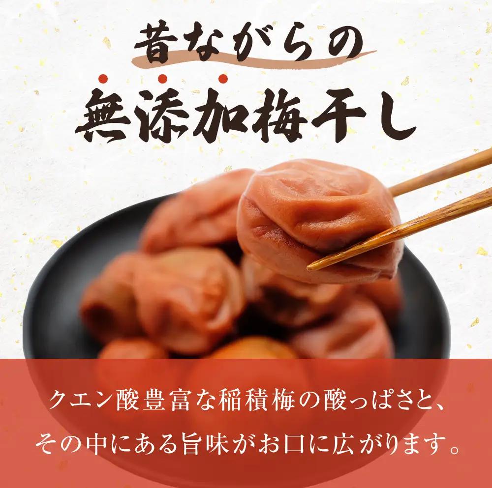 越中伝統 梅干し 氷見稲積梅 1kg （塩分約12%）｜富山県固有種 稲積梅 梅干し 添加物不使用 手作り  