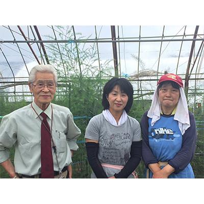 ふるさと納税 北斗市 【JAS認定有機野菜】北斗市産　有機野菜10〜12種類野菜セット 紙箱入(季節で種類が変わります) |  | 02