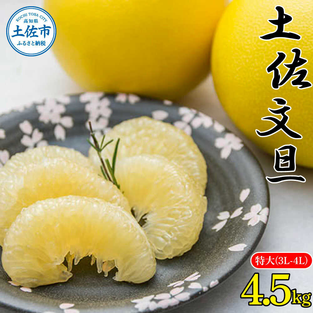 【ふるさと納税】【先行予約】【選べる内容量】土佐文旦 特大(3L〜4L)サイズ4.5kg・10kg 〈2027年2月〜発送〉 ぶんたん ブンタン 果物 柑橘 フルーツ お取り寄せ おいしい 美味しい 故郷納税 ふるさとのうぜい 高知県 高知 高知県土佐市/株式会社種田農園[BQBW006]