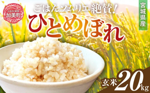 新米 玄米 令和6年産 宮城県加美町産ひとめぼれ 20kg [菅原商店 宮城県 加美町]  | sg00002-r6-20kg