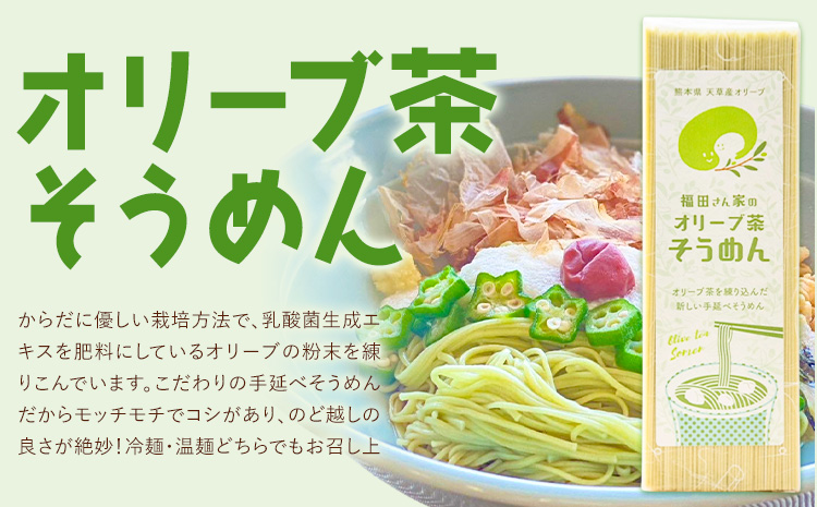 オリーブ 茶 そうめん 20袋 セット 福田さん家のオリーブ園。《30日以内に出荷予定(土日祝除く)》手延べ 麺 乳酸菌 天草 苓北 熊本 送料無料---reihoku_hdo_14_20p---