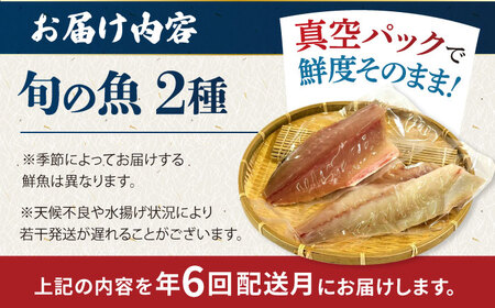 【全6回定期便】金澤仕立て 鮮魚ボックス 旬の魚2種 鮮魚 簡単 旬 海鮮 真空 冷蔵 五島市/金沢鮮魚[PEP010]