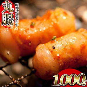 いちき串木野産 黒毛和牛 小腸100％ 「黒毛和牛 ホルモン 丸腸」約1kg もつ鍋・焼肉に最適！【A-508】