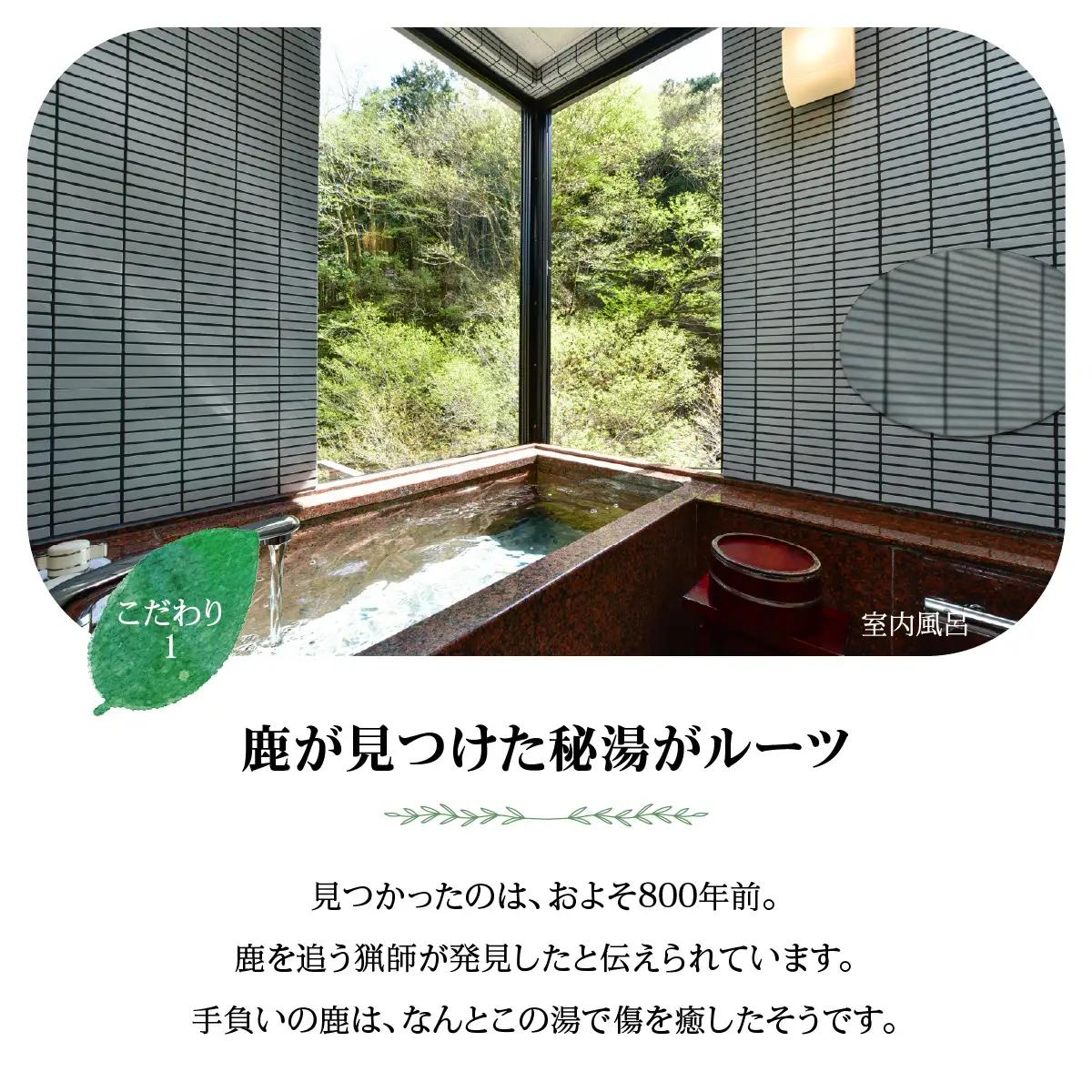【名栗温泉 大松閣】温泉内湯付き特別室1泊2食付ペア宿泊券 旅行 伝統的 旅館 もてなし 四季折々 美しい 景色 こだわり 自家源泉 展望大浴場 快適 施設 リフレッシュ キッズスペース HNNG00