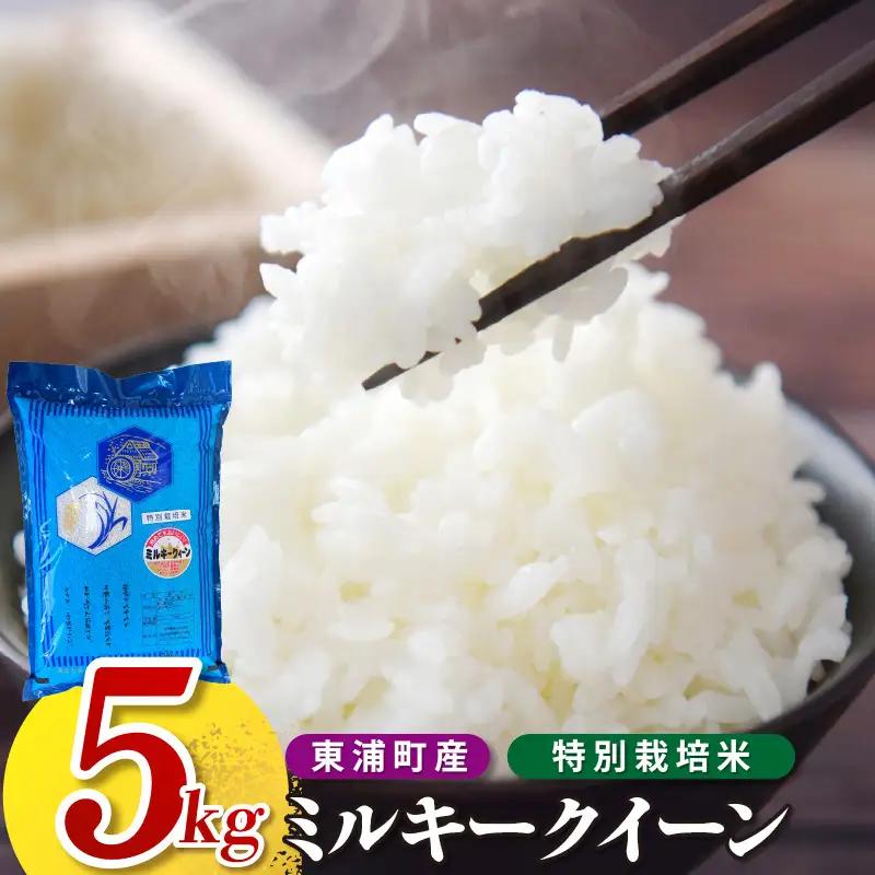 【令和8年度産】東浦町産　ミルキークイーン 5kg│米  新米 おこめ 精米 直送 鈴木農産 愛知県