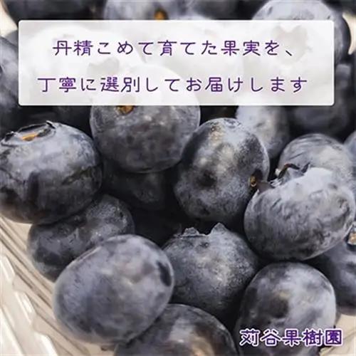 【期間限定 】【3L以上】大粒ブルーベリー約500g《125g×4パック入》 岩手県軽米町_ブルーベリーブルーベリーブルーベリーブルーベリーブルーベリー_【配送不可地域：離島・沖縄県】【1518038