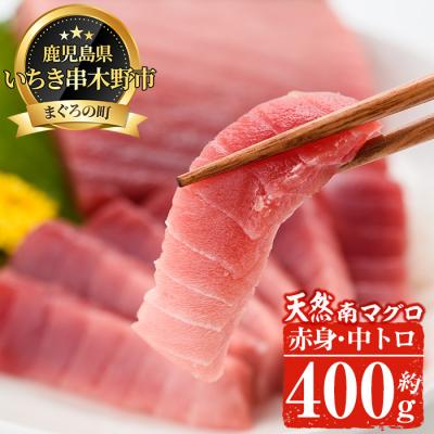 ふるさと納税 いちき串木野市 南マグロ味わいセット(南まぐろ中トロ200g・赤身200g)