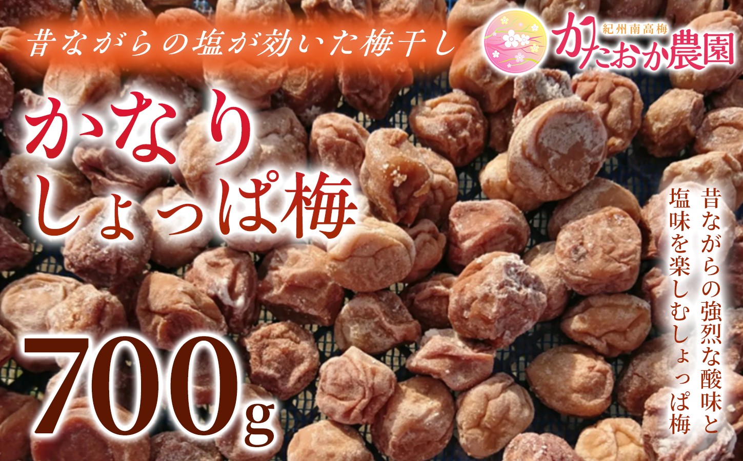 
                  【2026年6月以降発送予定】 昔ながらの塩が効いた梅干し かなりしょっぱ梅（700g）｜梅干し 梅干 無添加 無着色 自家栽培 国産 みなべ産 手作り こだわり 家庭用 ktok007

                