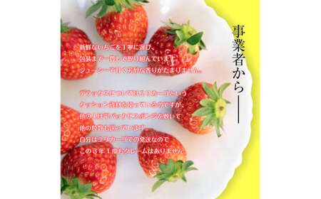 【4月発送】とちおとめ（レギュラーサイズ）4パック