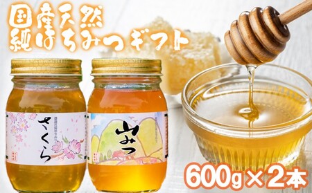 はちみつ 国産天然 純はちみつ さくら やまみつ はちみつ【600g×2本】【化粧箱入り】