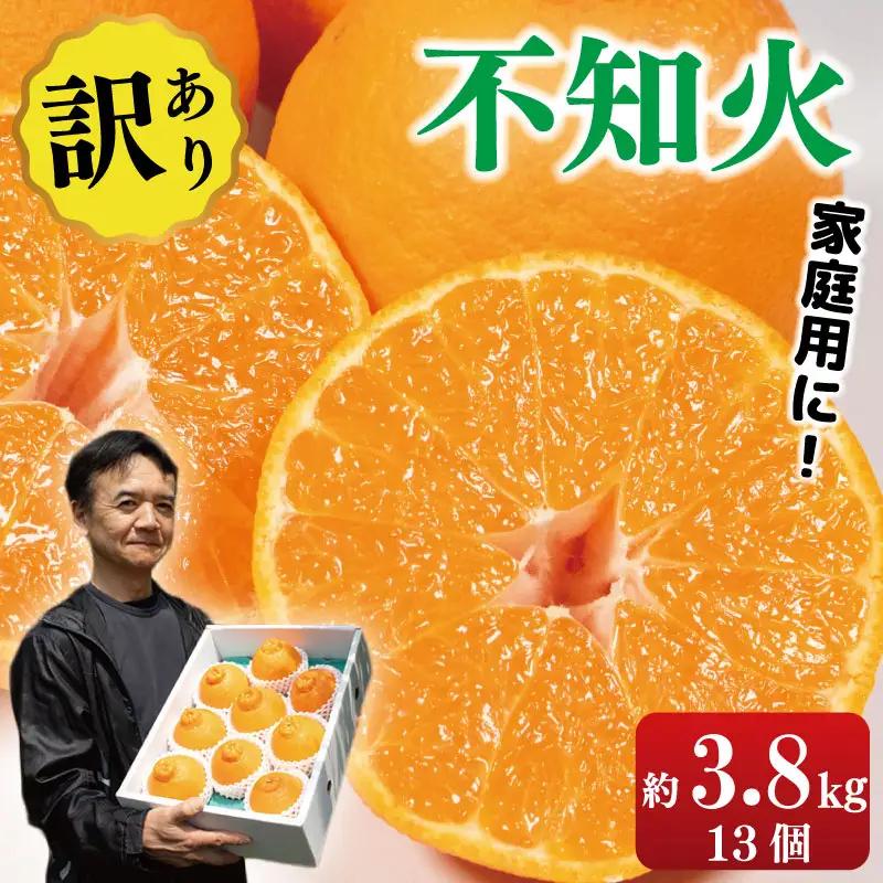 訳あり 不知火 3.8kg 13個入り 不知火 みかん しらぬい
