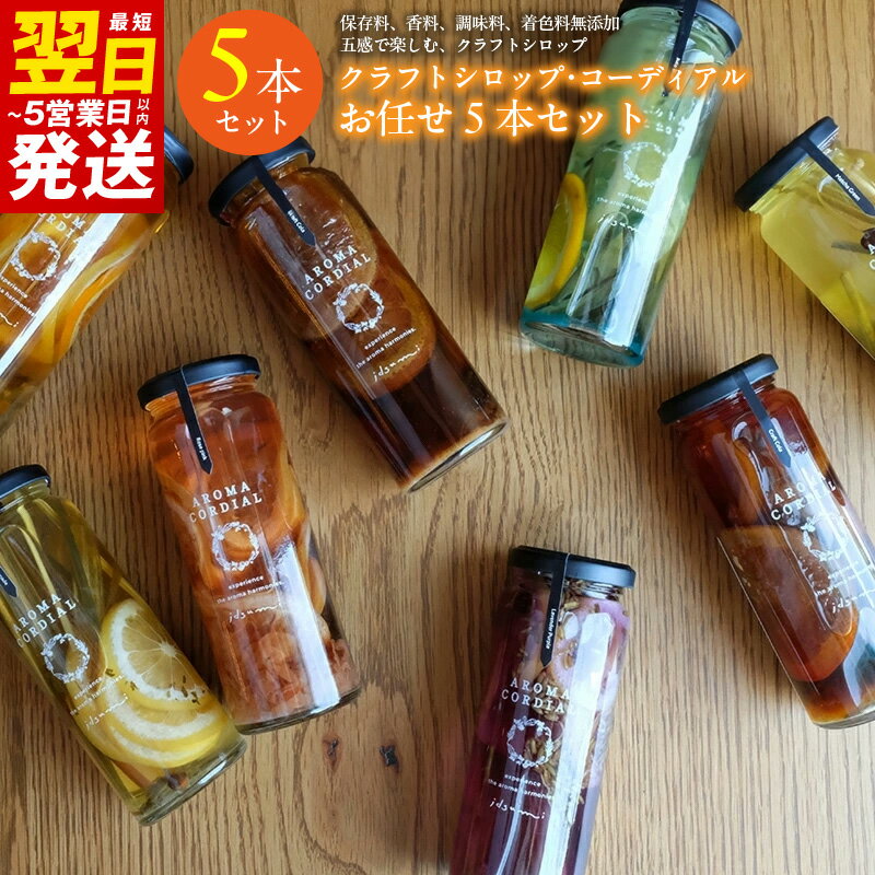 【ふるさと納税】クラフト 飲料シロップ 5本 セット コーラ ジンジャーエール レモネード おまかせ クラフトシロップ 希釈用ドリンク ドリンク いずみピクルス お取り寄せ 最短 翌日発送 5営業日 大阪府 泉佐野市 送料無料 NSW