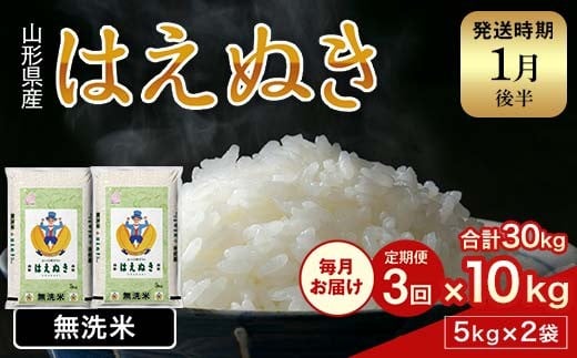 FYN1-983 【3回定期便・1月後半発送】令和7年産 新米 山形県産 はえぬき 10kg 2025年 お米 米 米米 ごはん ご飯 白米 国産 ブランド米 節水 時短 冷めてもおいしい お取り寄せ 食品 山形県 西川町 月山