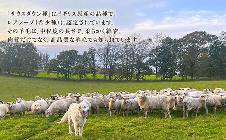 【希少！】石田めん羊牧場の羊毛100％使用　職人手作りの羊毛布団（シングル1組）