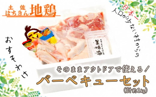 
土佐はちきん地鶏バーベキューセット 保冷box入りもも肉(350g) むね肉（200g） 手羽先（6本） 天日塩（30g）
