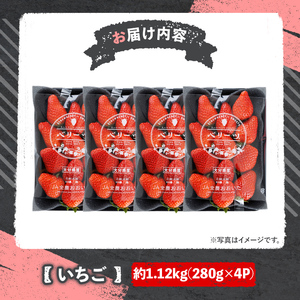 ＜2026年1月上旬～3月下旬の間に発送予定＞いちご(計約1.12kg・280g×4P)苺 イチゴ フルーツ 果物 くだもの 果実 ベリーツ【117900500】【Farm U.S.A.】