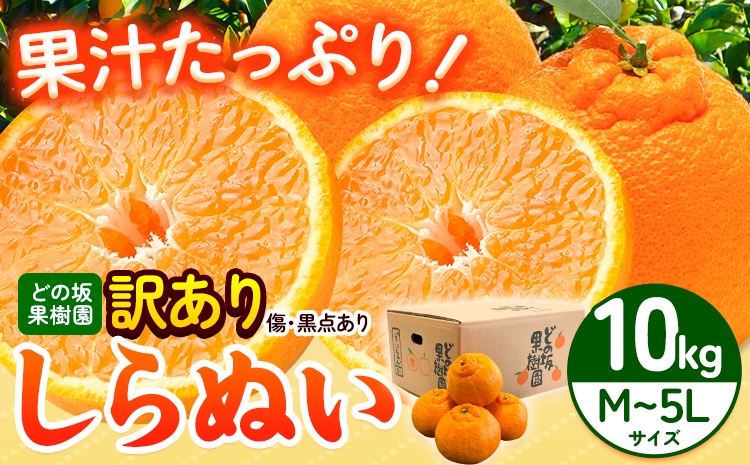 【先行予約】訳あり 不知火 ( デコポンと同品種 ) しらぬい 約10kg (M～5Lサイズ) どの坂果樹園《2026年2月上旬-4月上旬頃出荷》 和歌山県 日高町 しらぬい でこぽん 旬 果物 フルーツ 柑橘 訳あり不知火 訳ありデコポン 訳ありしらぬい 送料無料---wsh_dsk21_2j4j_24_15000_10kg---