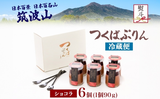 無地熨斗 つくばぷりん ショコラ・ヴィノ・プディング ６個 プリン ぷりん ショコラ チョコレート 牛乳 ミルク 卵 赤ワイン スイーツ 贅沢 洋菓子 おやつ 冷菓 ご褒美 デザート 人気 グルメ お