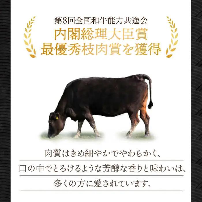  【6回定期便】【飛騨牛】切り落とし 総計6kg 〈1回あたり〉1kg (250g×4) [TDC015]飛騨牛 切り落とし