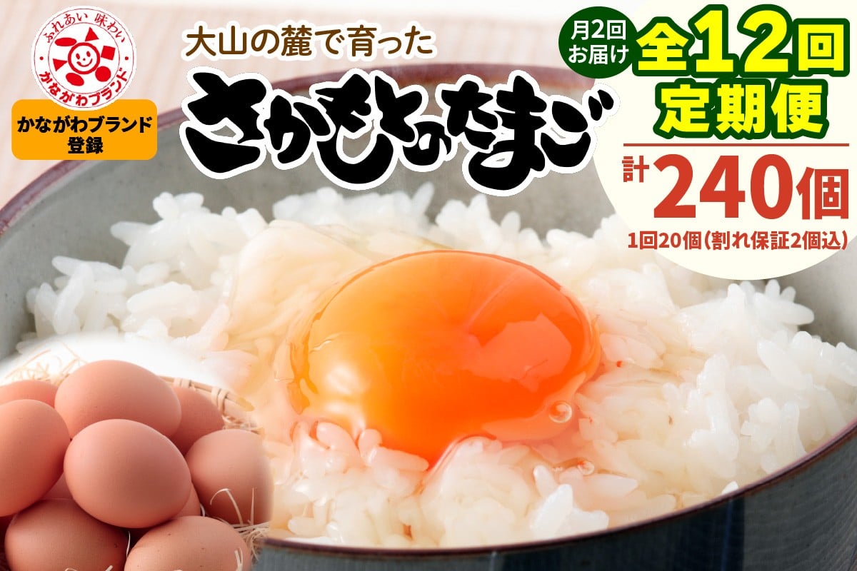 
            [定期便／6ヶ月×月2回 (全12回)]《2026年4月中旬より順次発送》さかもとのたまご 20個 (18個＋割れ保証2個) 合計240個｜坂本養鶏 大山の麓で育ったさかもとのたまご 赤玉卵 玉子 鶏卵 伊勢原市 赤玉卵 玉子 生卵 国産 TKG タマゴ 新鮮 大山 鶏 ギフト 安心 安全 親子丼 卵焼き 目玉焼き お菓子 [0807]
          