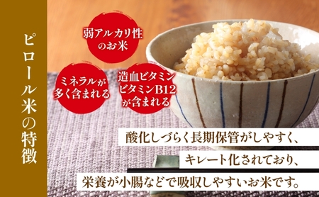 ピロール農法で育てた安全な美味しいハツシモ（玄米）5kg お米 ごはん ご飯 カレー 丼物 お弁当 すし飯 冷めても美味しい はつしも ななしん米 岐阜県 揖斐川町