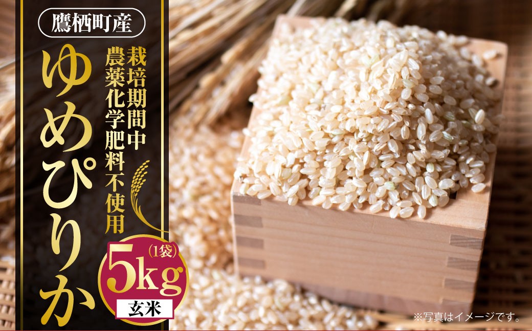 
                  【令和7年産】 ゆめぴりか （ 玄米 ） 栽培期間中農薬化学肥料不使用 5kg たかすタロファーム 北海道 鷹栖町 米 コメ こめ ご飯 お米
                
