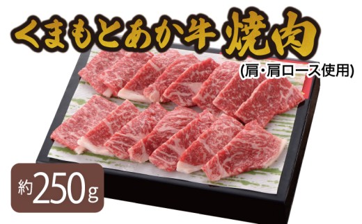 くまもとあか牛 焼肉(肩・肩ロース使用) 250g やきにく 肉 牛肉 和牛 赤牛 熊本県産 九州産 国産 冷凍 オオツカ株式会社