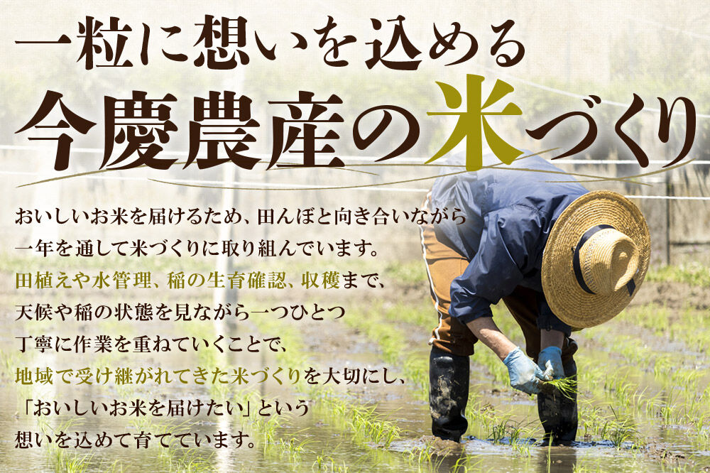 令和7年産 宮城県名取市産 ひとめぼれ 白米 30kg [ひとめぼれ ブランド米 お米 白米 精米 米どころ 宮城 宮城県産]