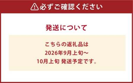 シャインマスカット晴王 2房（合計1.4kg以上） マスカット ぶどう 葡萄 ブドウ 晴王 果物 フルーツ 岡山県 倉敷市【2026年9月上旬～10月上旬まで順次発送予定】