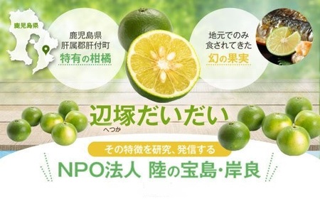 【A20008】先行受付！2025年9月中旬以降発送！辺塚だいだい 青果 (10kg) 鹿児島 国産 橙 だいだい 柑橘 かんきつ 果物 フルーツ 贈答 ギフト【NPO法人 陸の宝島・岸良】