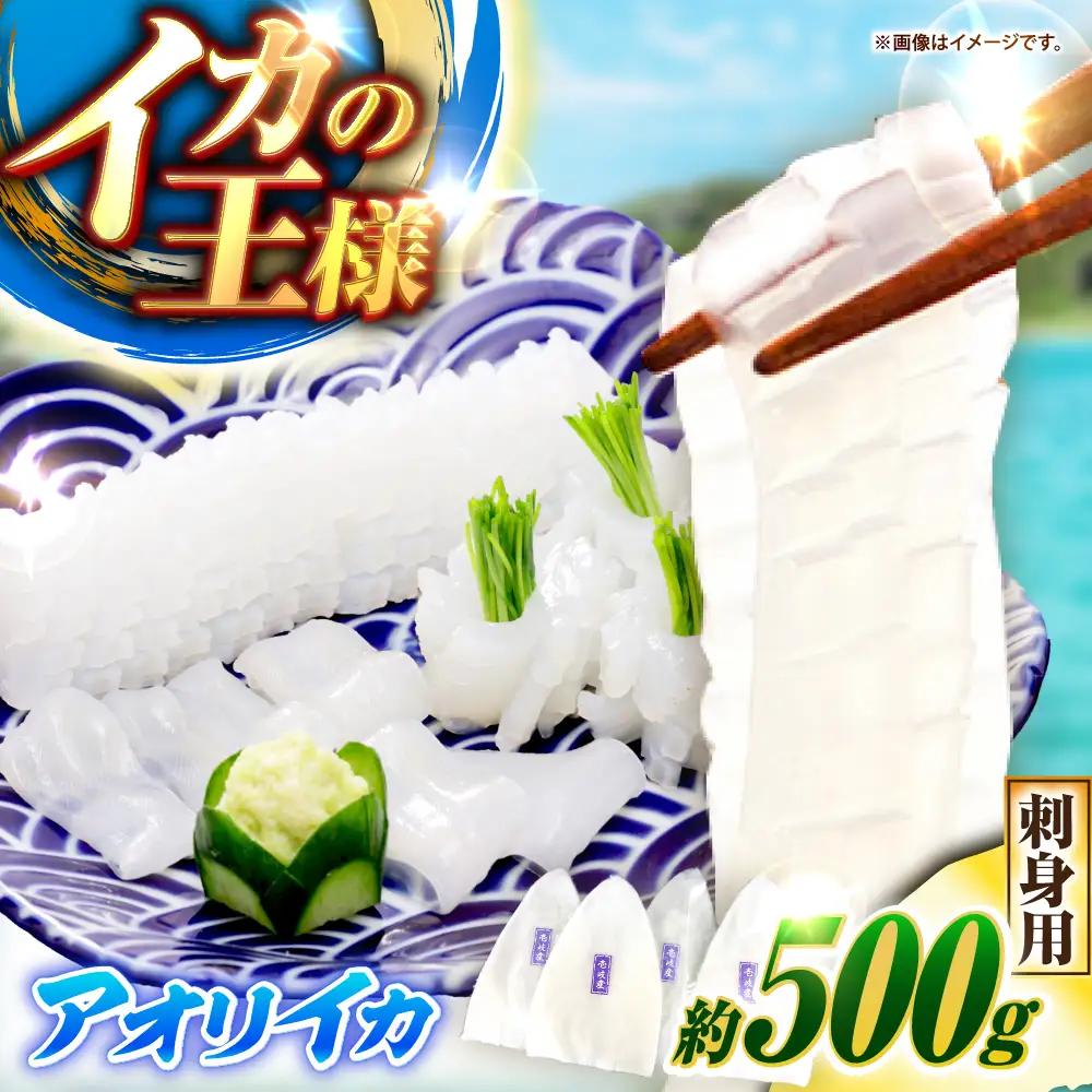 アオリイカ（刺身用） 500g [JCC023] イカ
